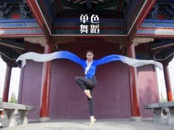 成人学跳舞中国舞视频大全,尽享国舞之美——成人学跳舞中国舞视频大全精选