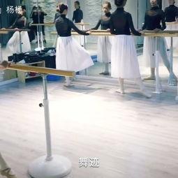 成人训练跳操视频大全集,成人跳操视频大全集精选解析