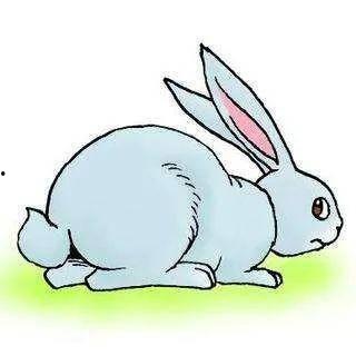 兔尾巴成人堵洞视频,兔尾巴成人奇遇记