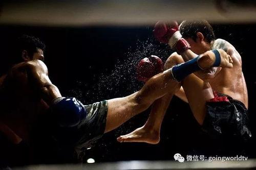成人拳击自由搏击视频,成人拳击自由搏击精彩对决回顾