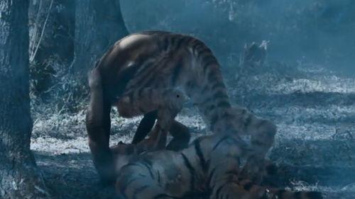 老虎成精能成人吗视频,揭秘动物变身成人奇观