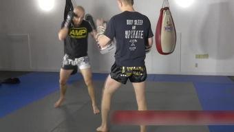 搏击成人泰拳视频大全集,搏击成人视频大全集精彩回顾